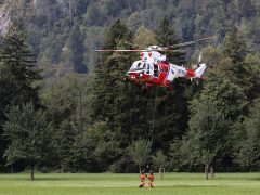 Dinas Damkar Musi Banyuasin Hapus Sarang Tawon di Area Wisata